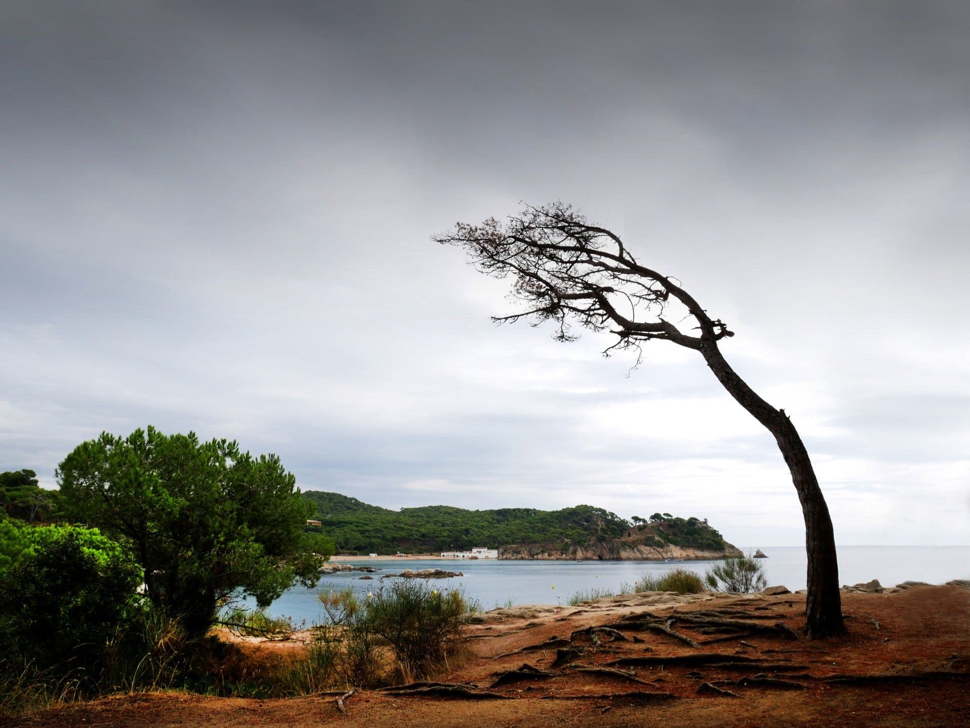 How to Build Emotional Resilience in Tough Times